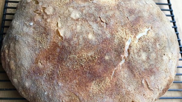 Dutch Oven Bread